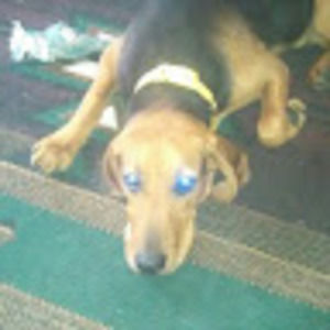 Meet your Posher, Richard